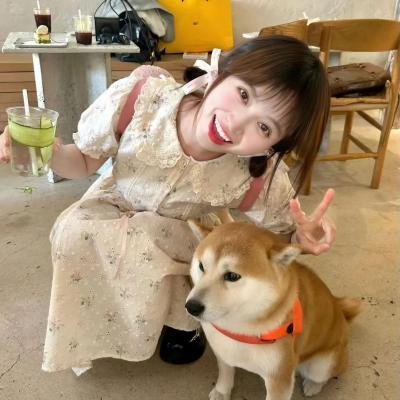 遗失的小美好之谎言